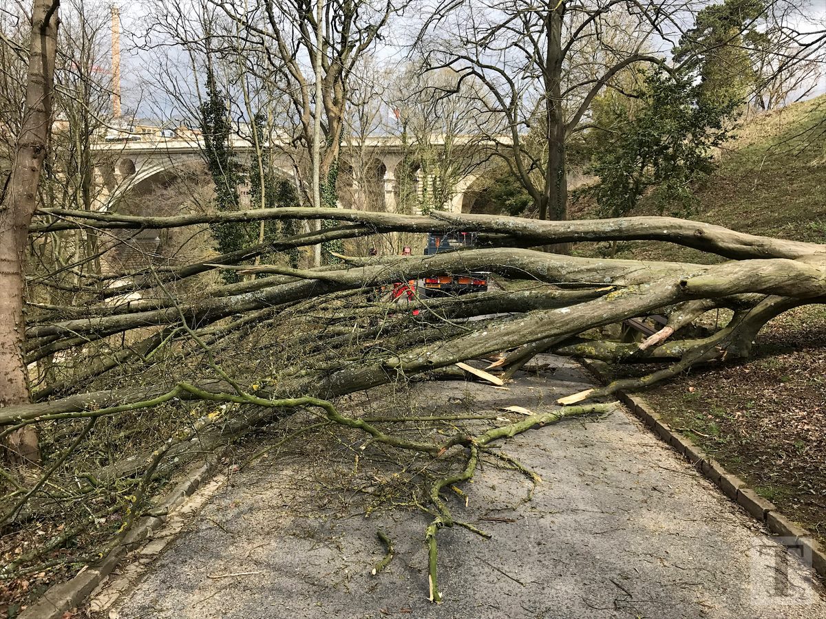 05.04.2018_Editpress_429212