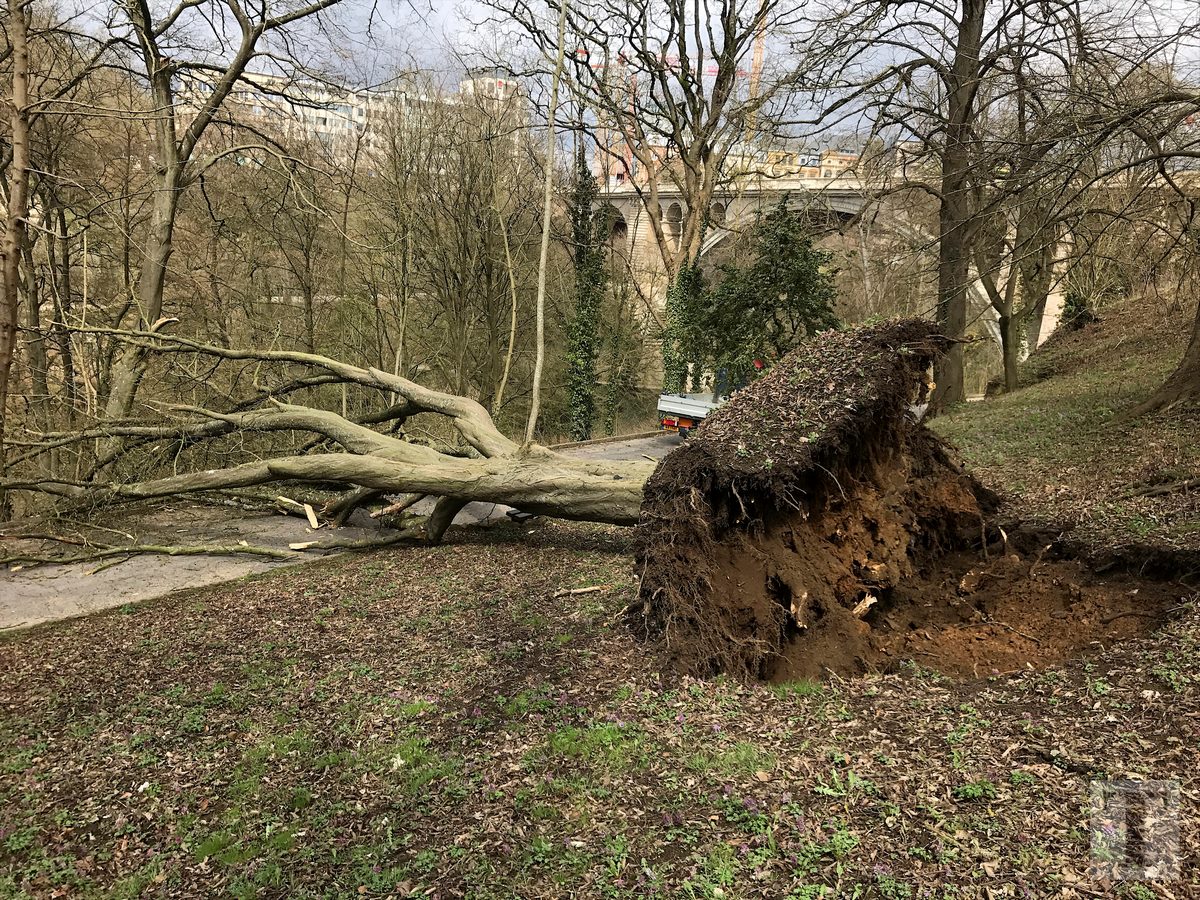 05.04.2018_Editpress_429213