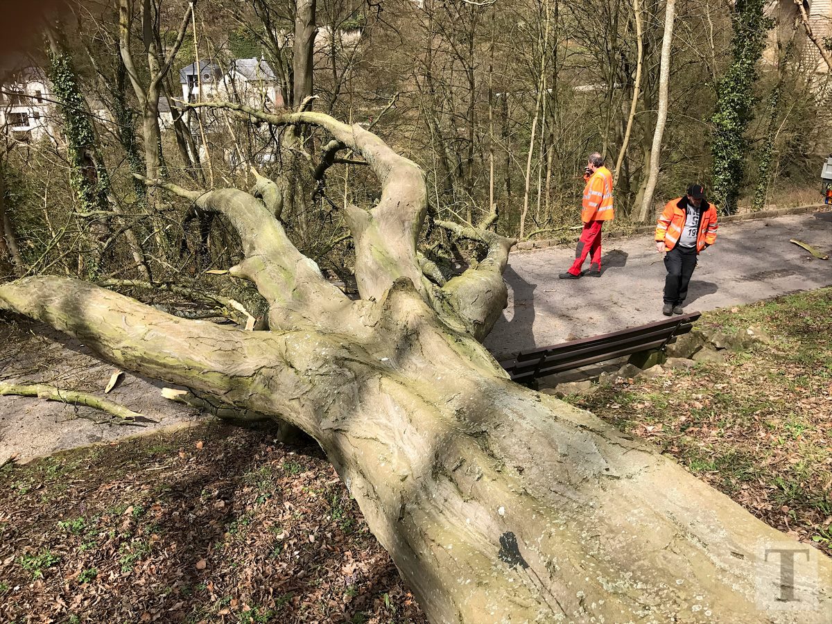 05.04.2018_Editpress_429214