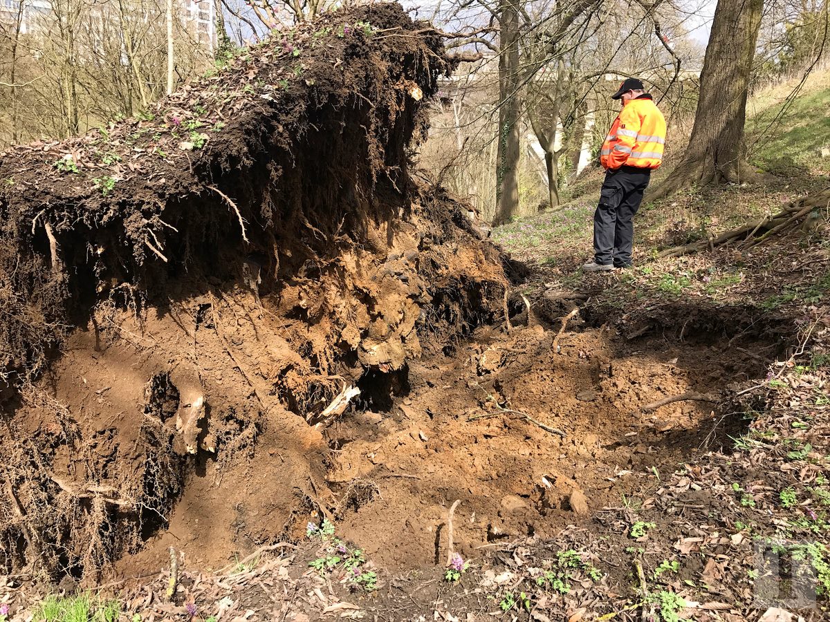 05.04.2018_Editpress_429216