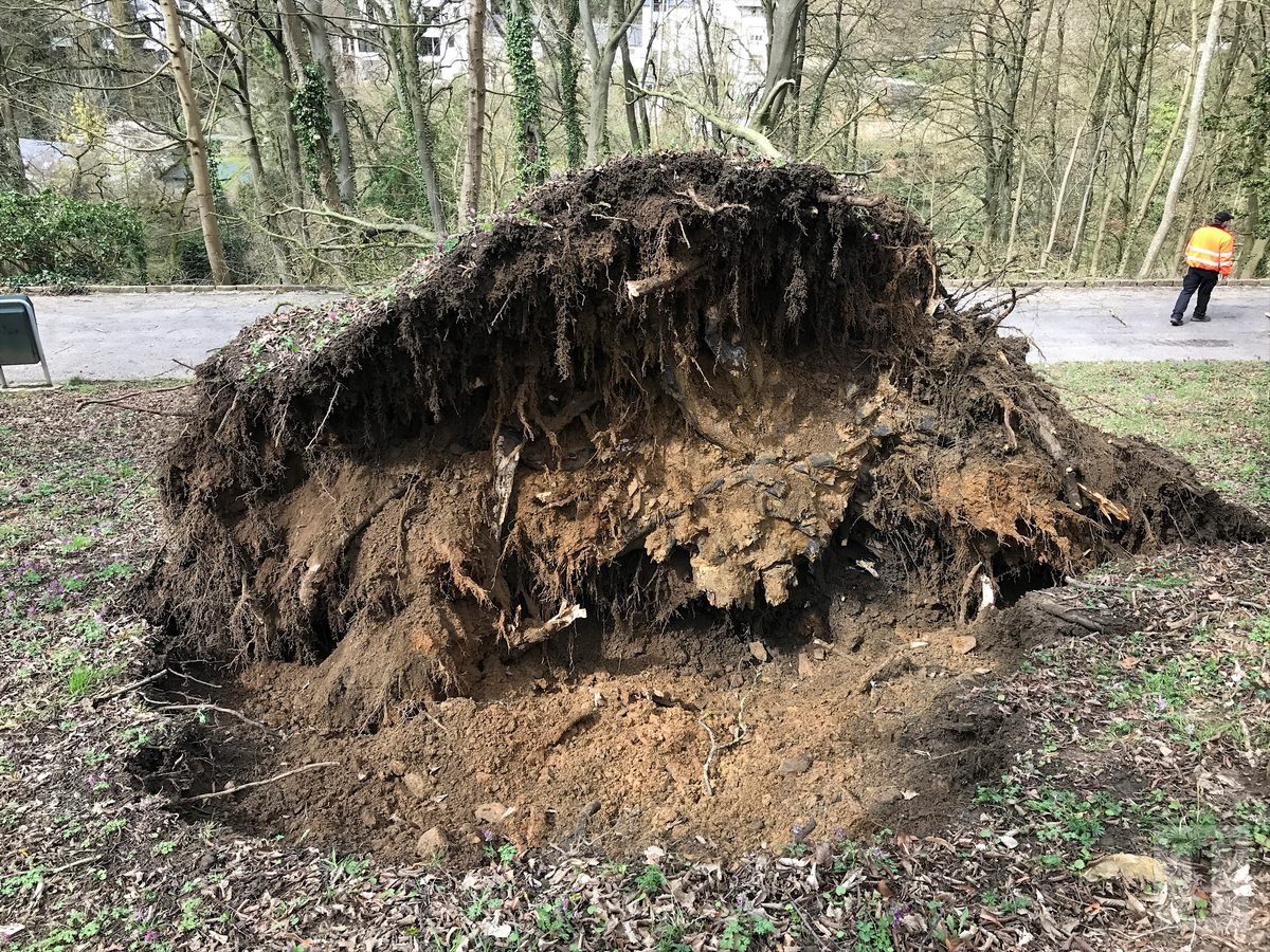 05.04.2018_Editpress_429220