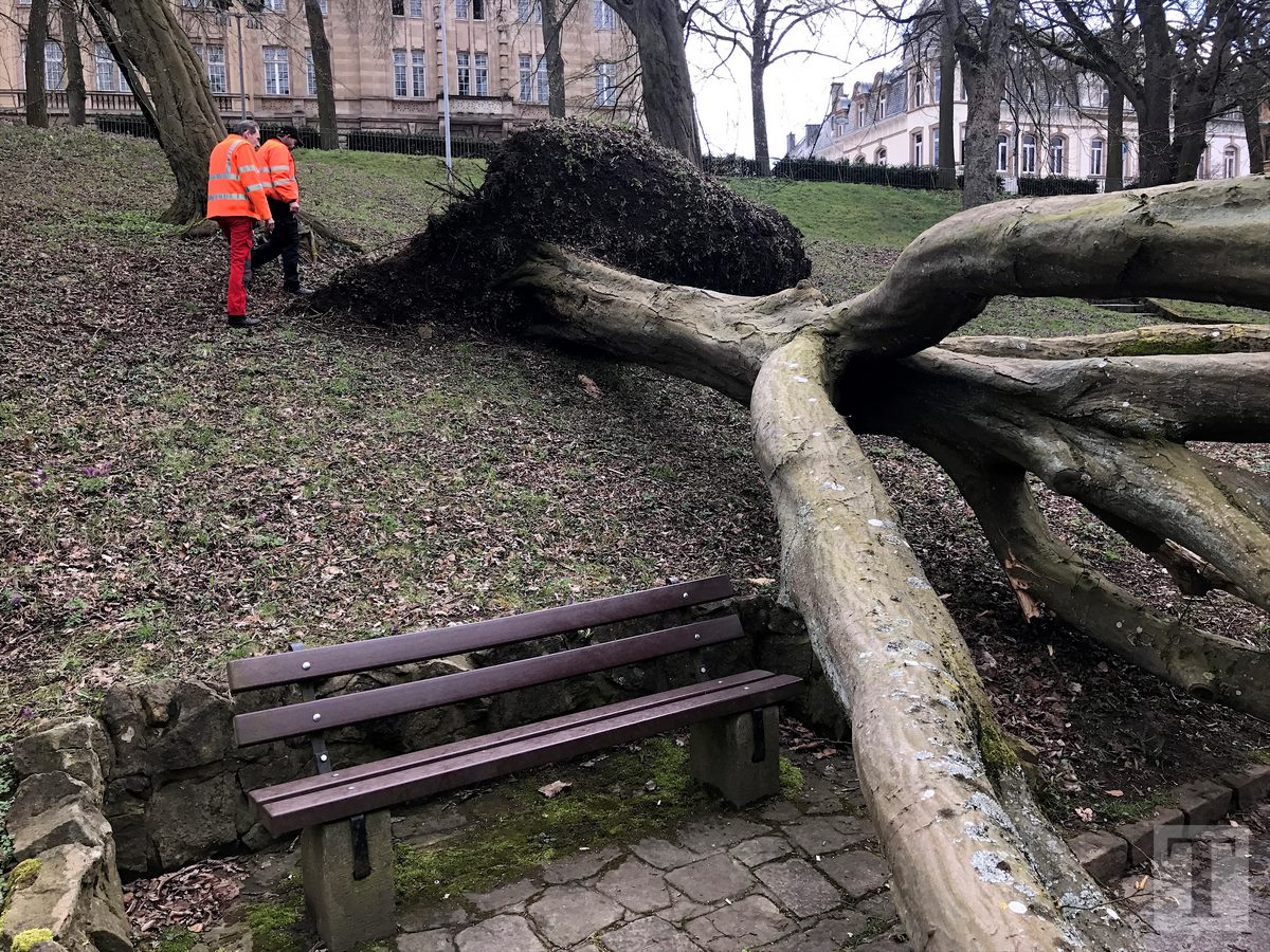 05.04.2018_Editpress_429221