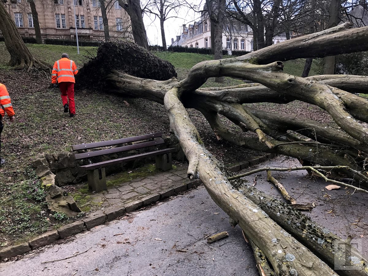 05.04.2018_Editpress_429222