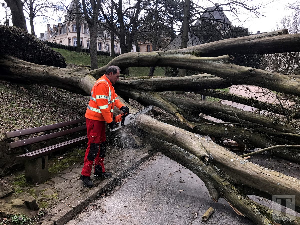 05.04.2018_Editpress_429224