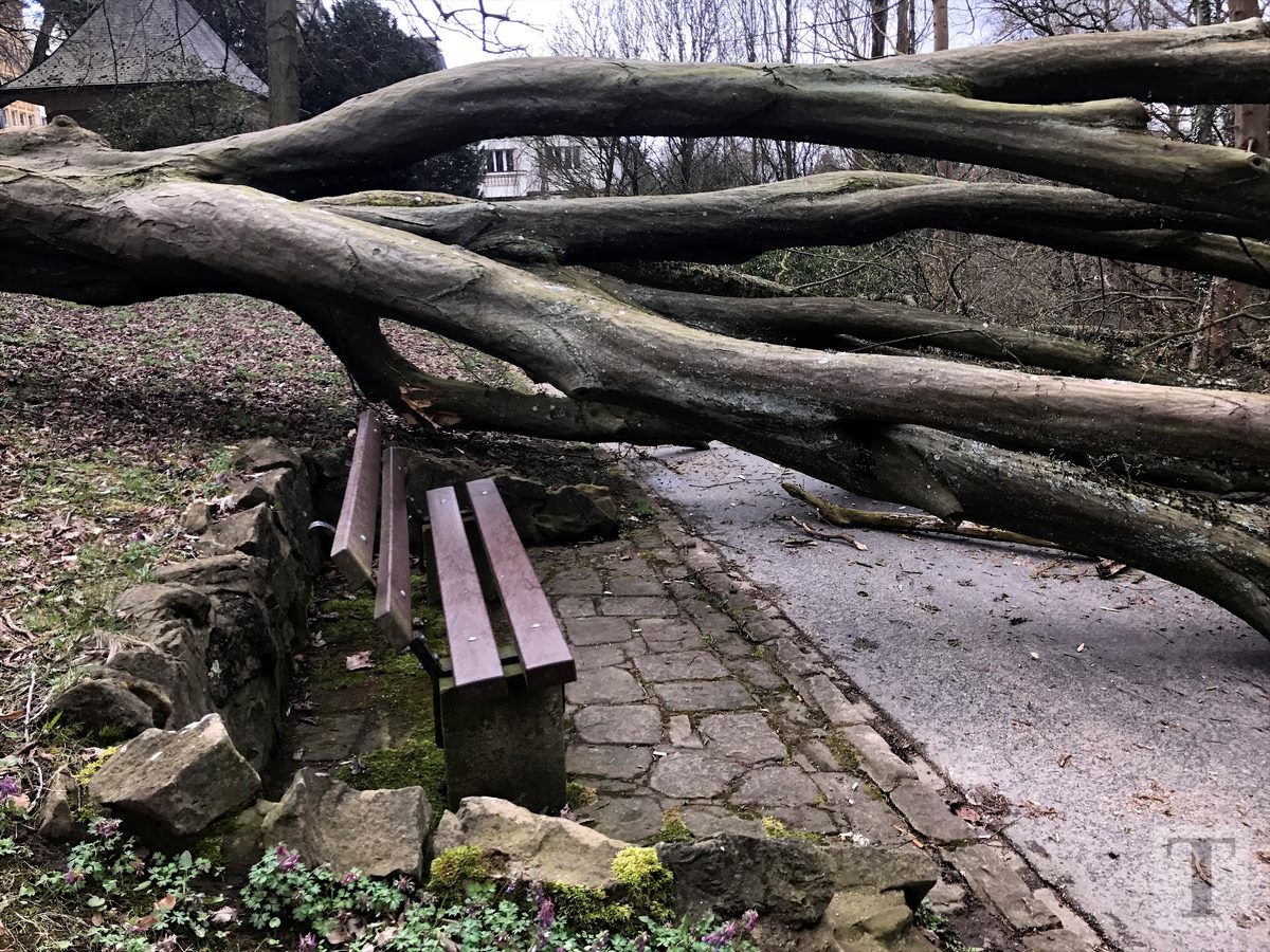 05.04.2018_Editpress_429226