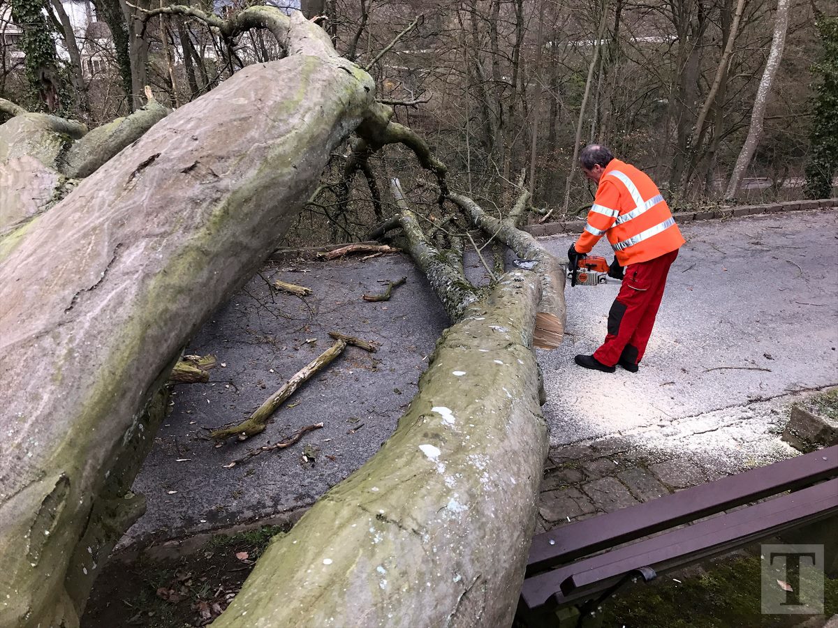 05.04.2018_Editpress_429227