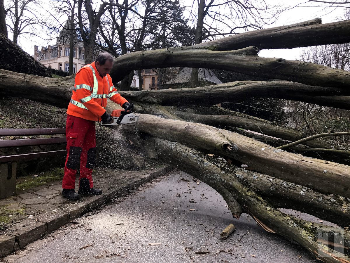 05.04.2018_Editpress_429228