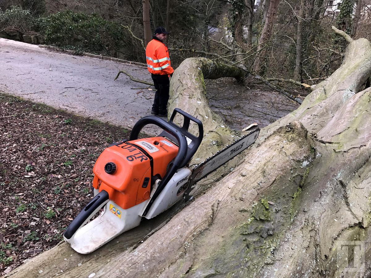 05.04.2018_Editpress_429229