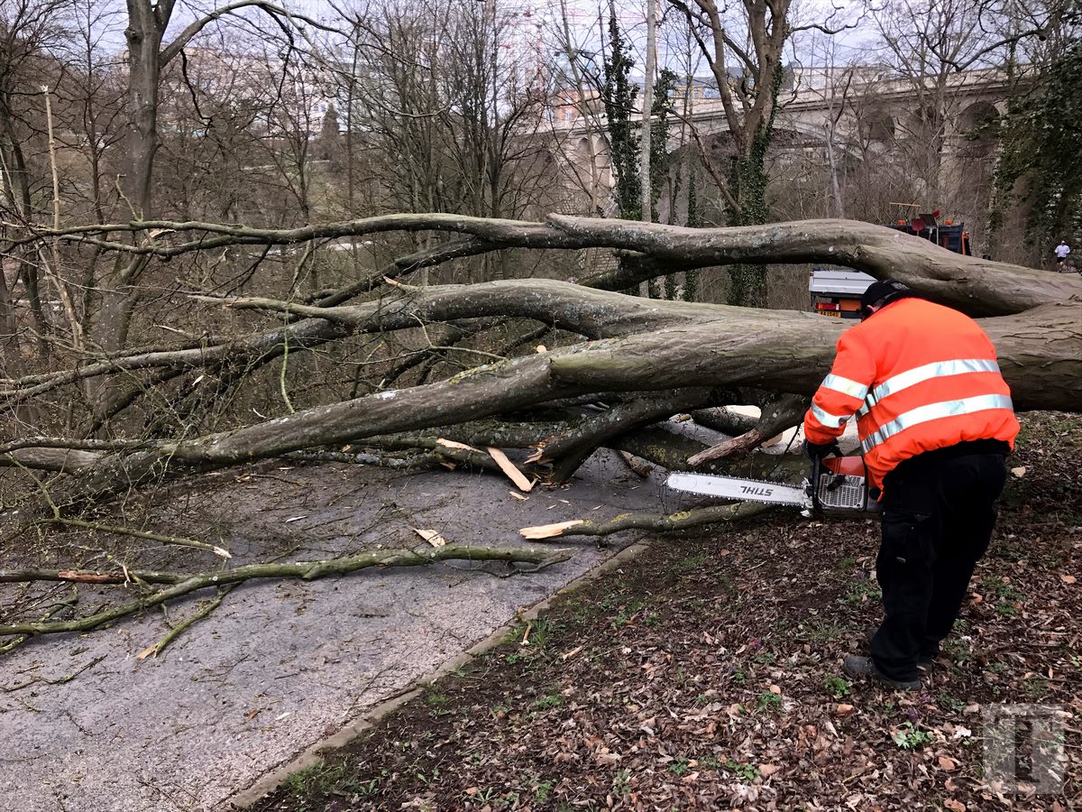 05.04.2018_Editpress_429230