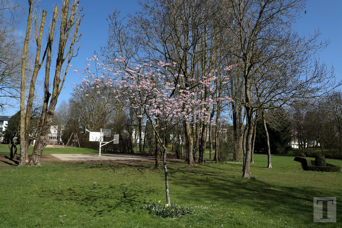 06.04.2018_Editpress_429448