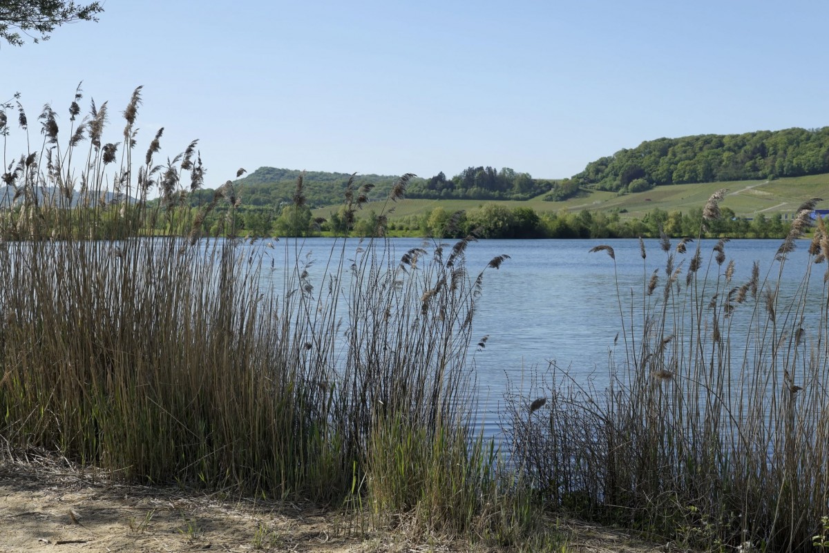 27.04.2018_Editpress_433142