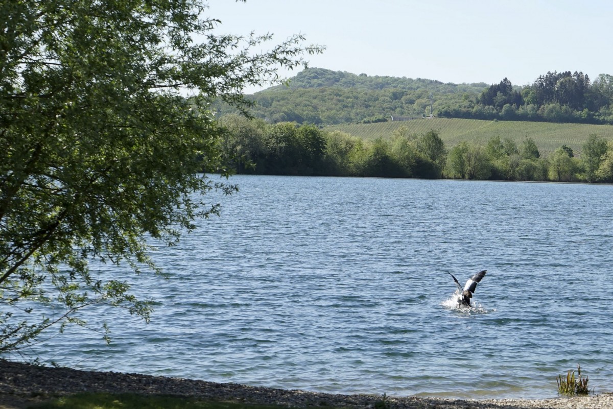 27.04.2018_Editpress_433151