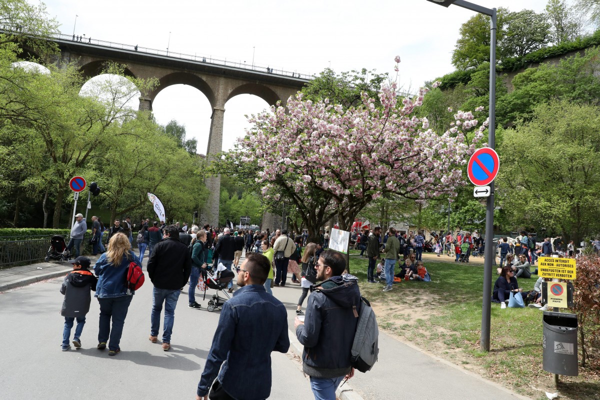 Foto: Didier Sylvestre