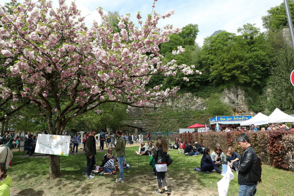 Foto: Didier Sylvestre