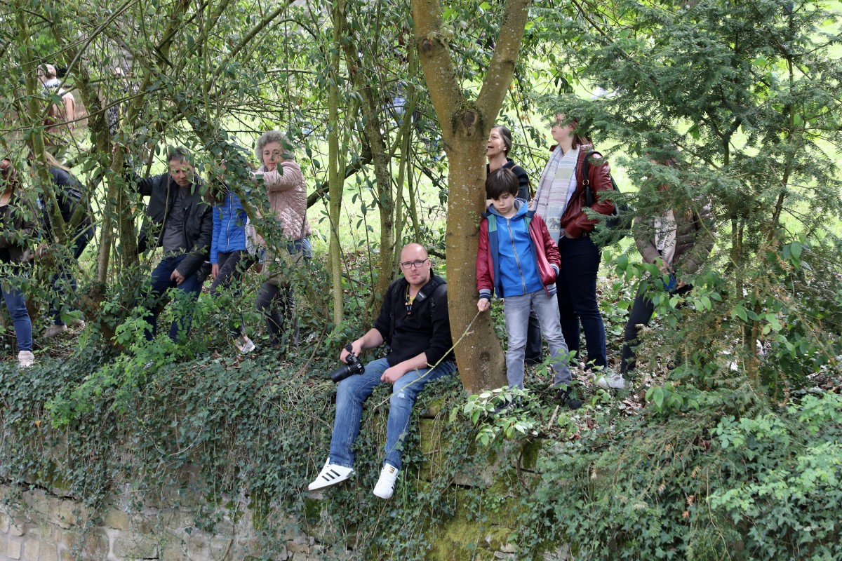 Foto: Didier Sylvestre