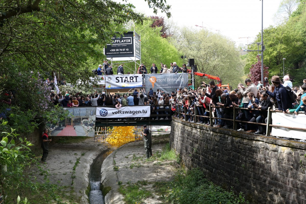 Foto: Didier Sylvestre