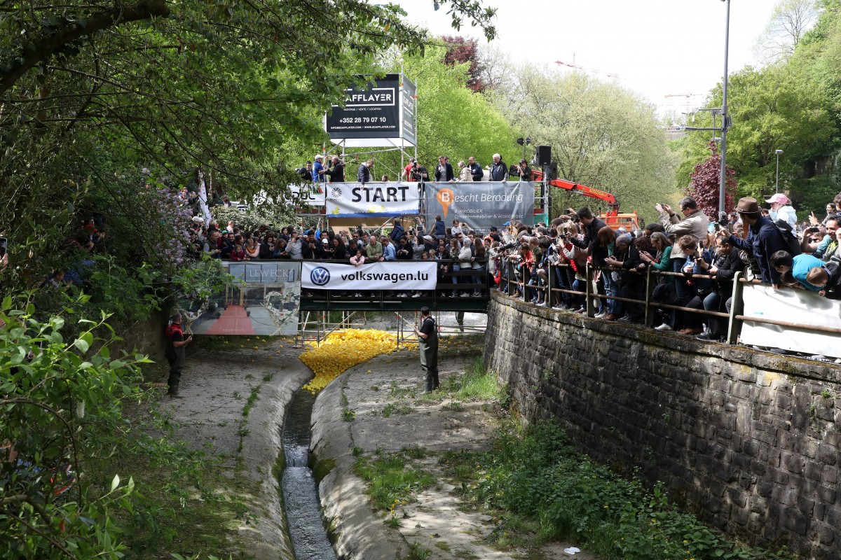 Foto: Didier Sylvestre