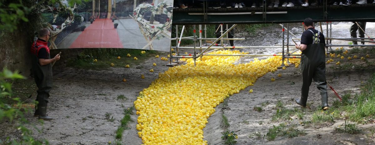 Enteninvasion im Pétrusse-Tal