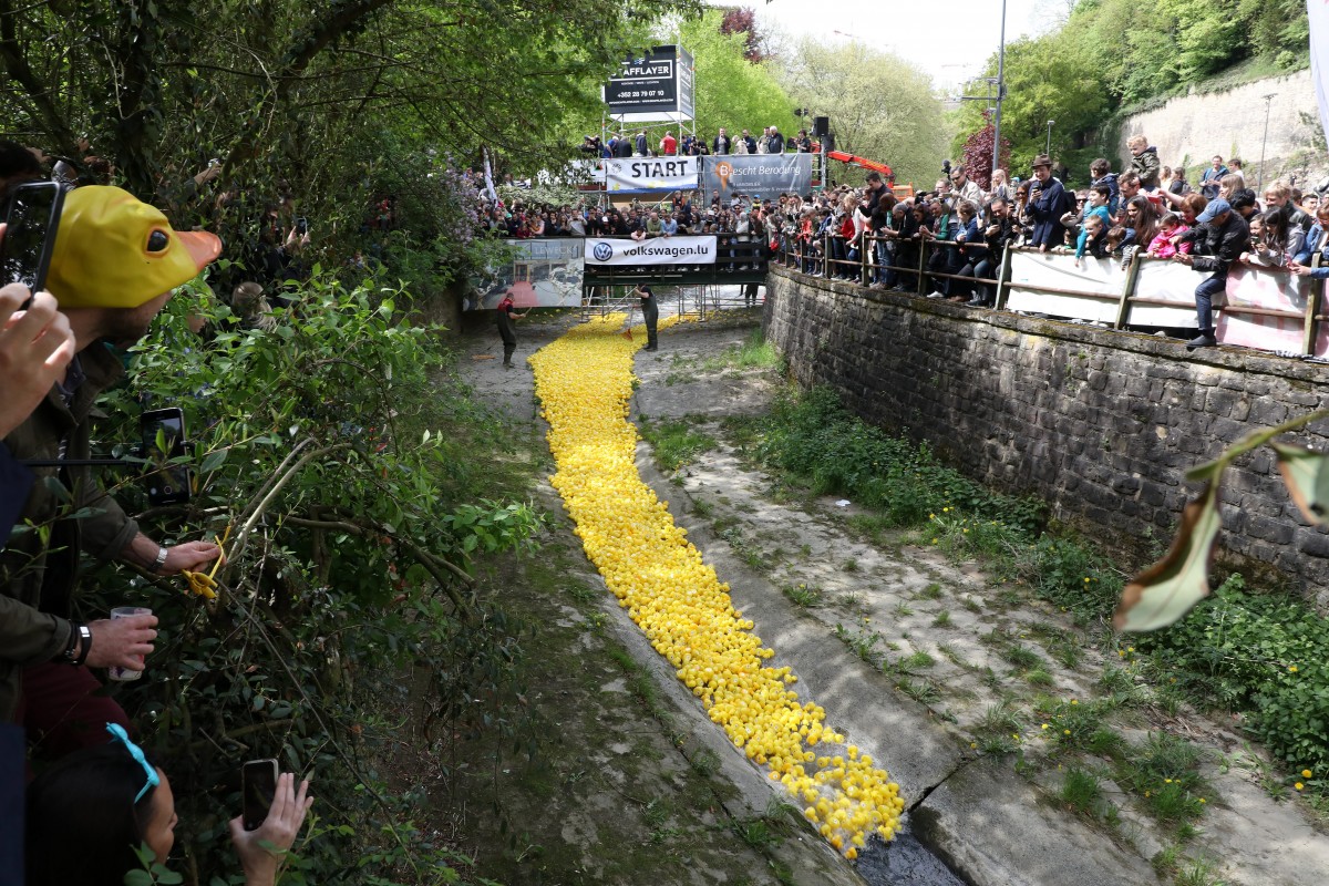 Foto: Didier Sylvestre