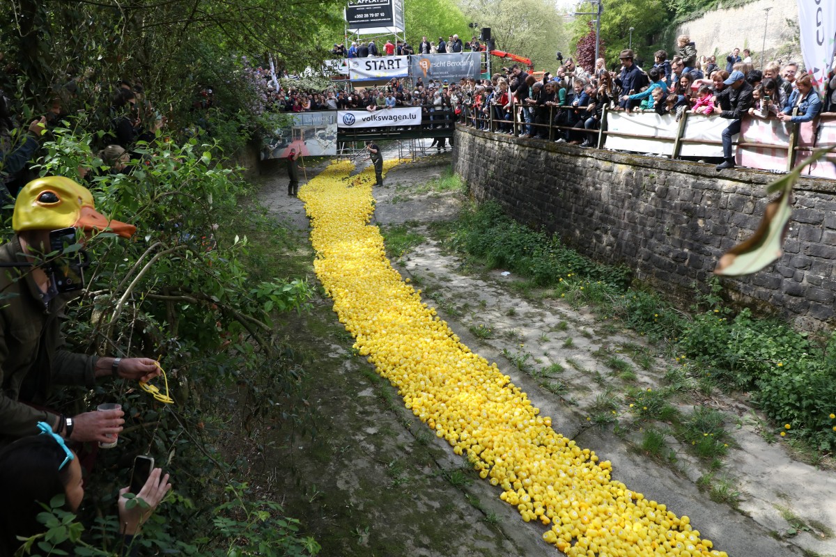 Foto: Didier Sylvestre