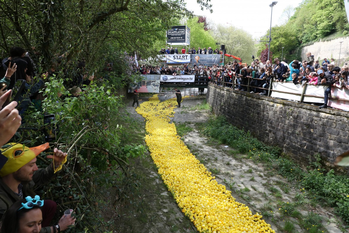 Foto: Didier Sylvestre