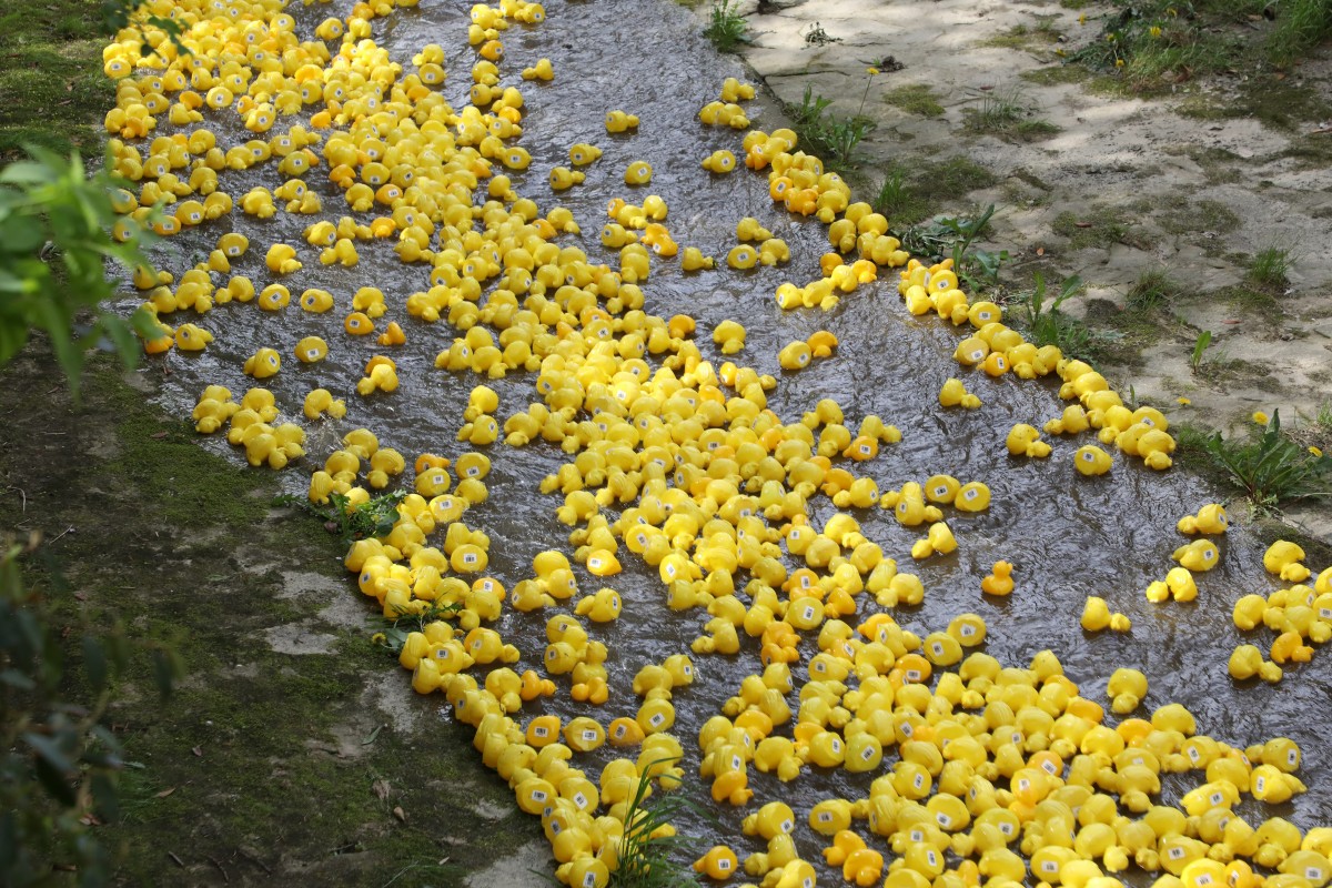 Foto: Didier Sylvestre