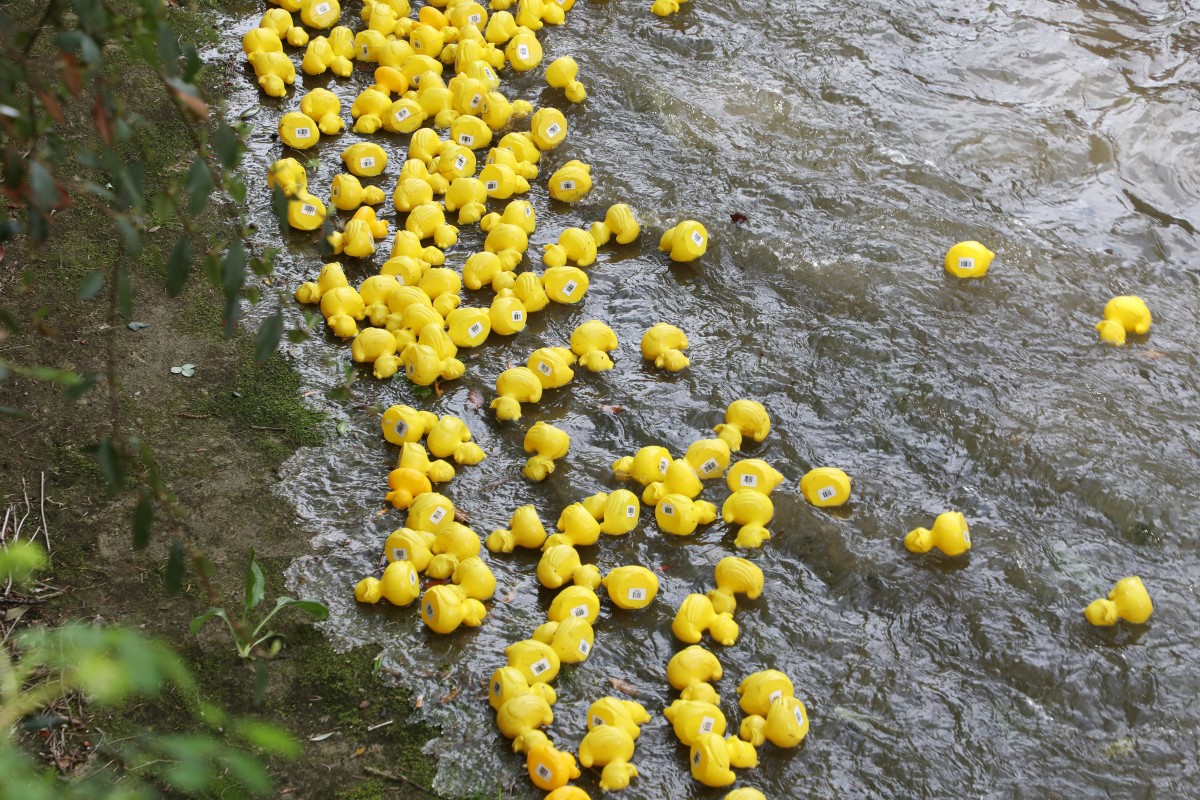 Foto: Didier Sylvestre