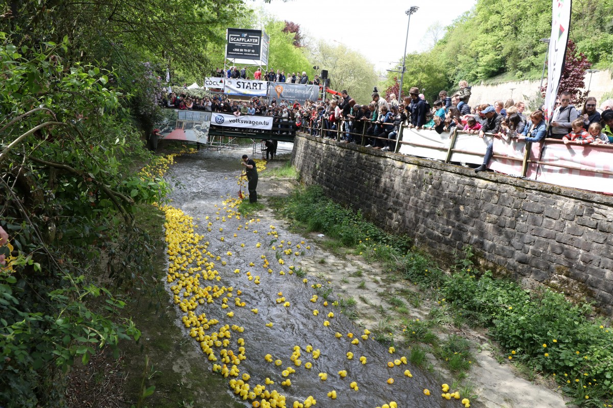 Foto: Didier Sylvestre