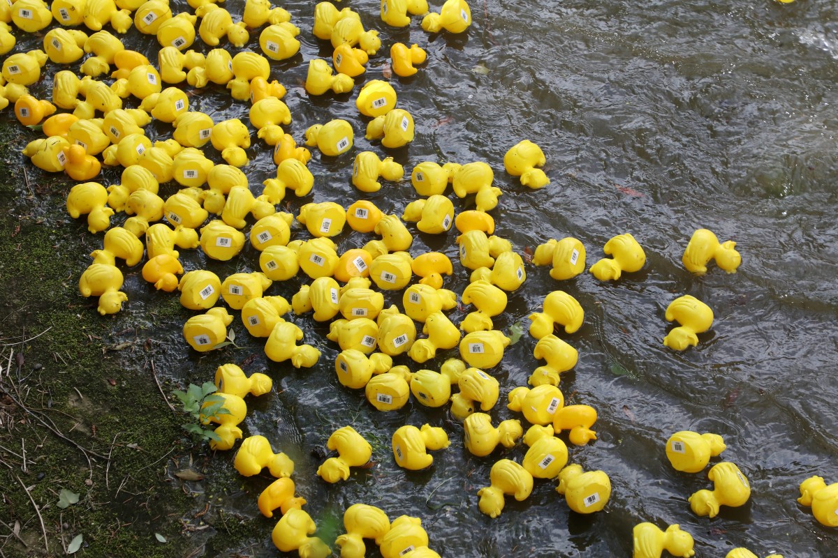 Foto: Didier Sylvestre