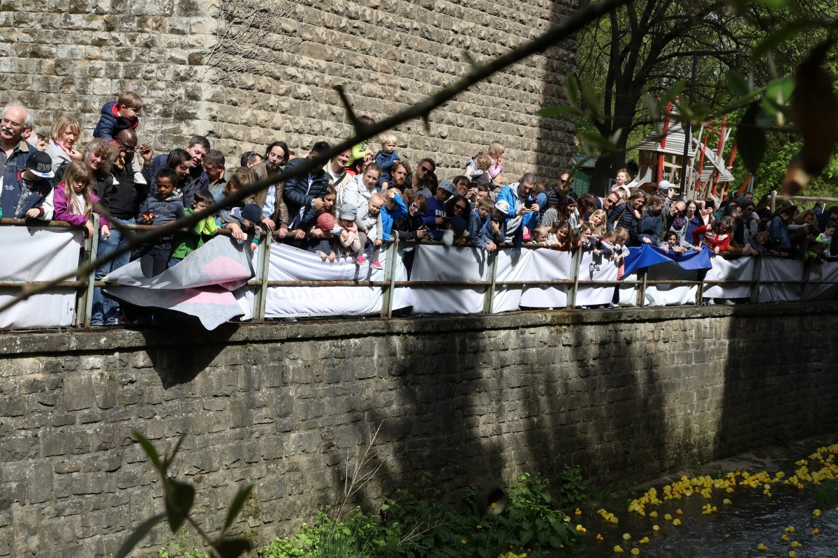 Foto: Didier Sylvestre