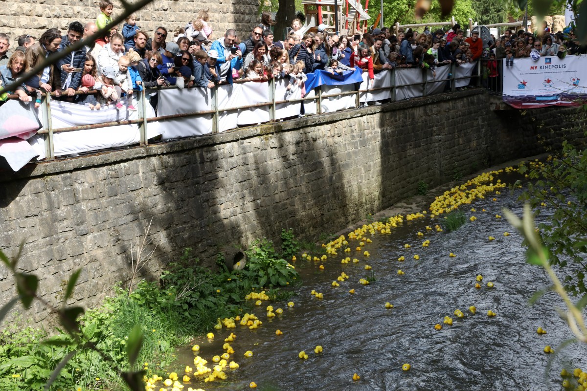 Foto: Didier Sylvestre