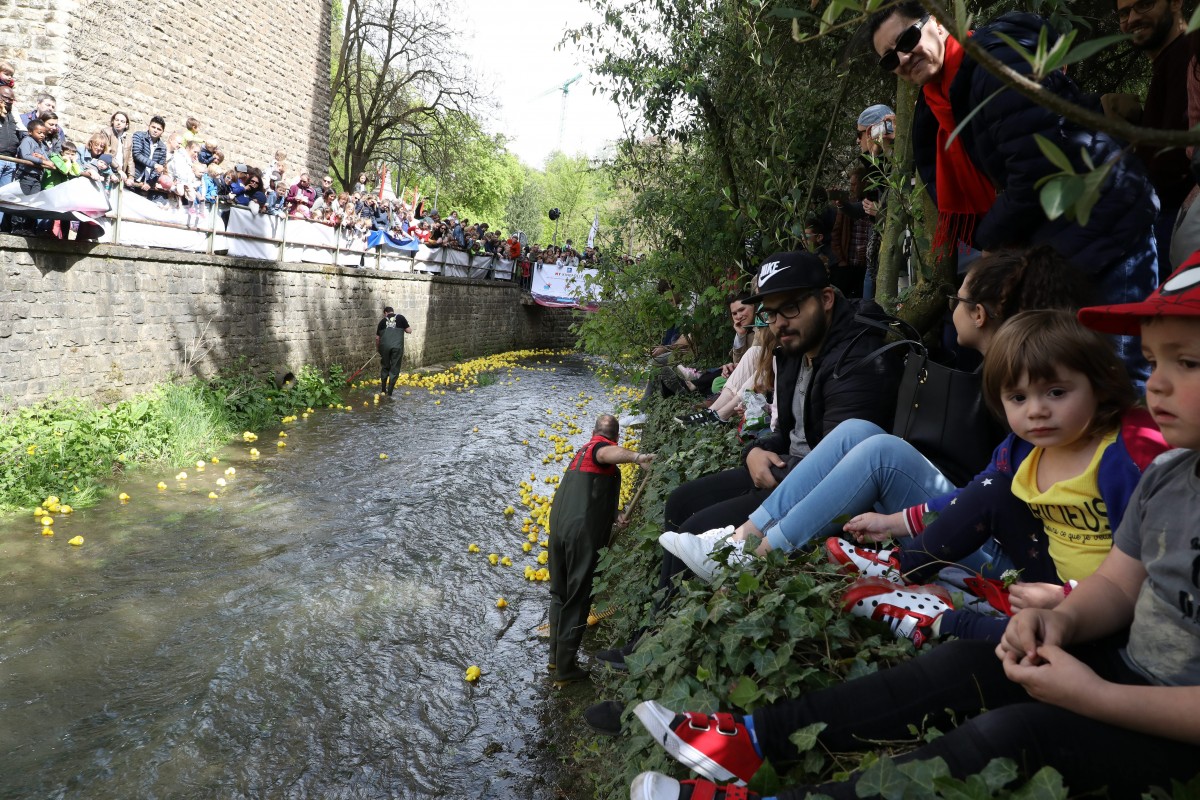 Foto: Didier Sylvestre