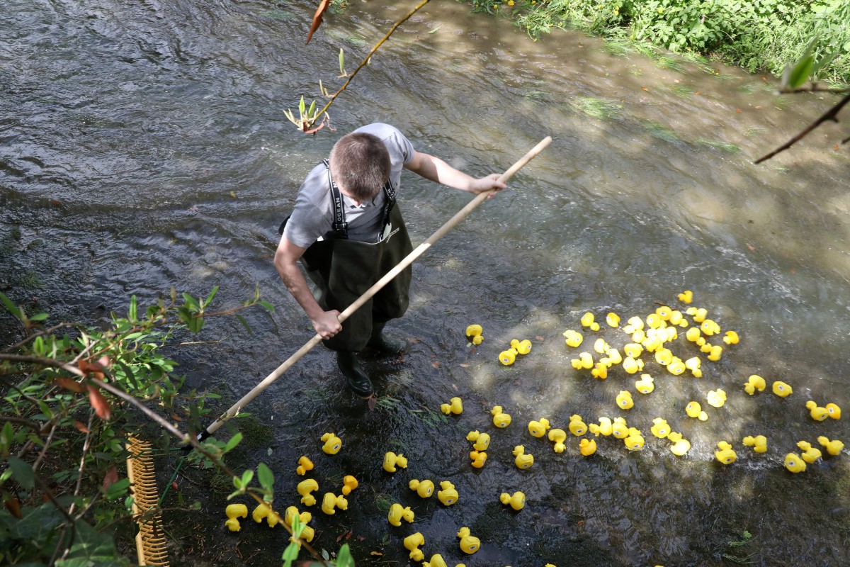 Foto: Didier Sylvestre