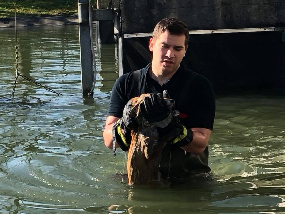 30725203_795616170629495_5106092498577522688_n