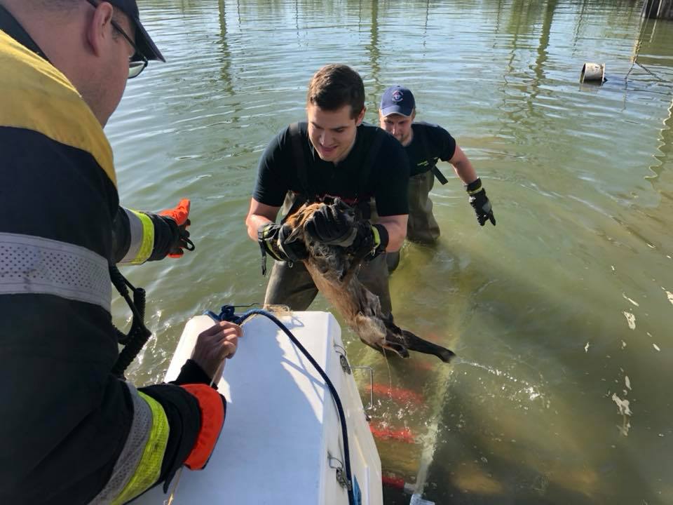 30741068_795616190629493_7737482264912592896_n