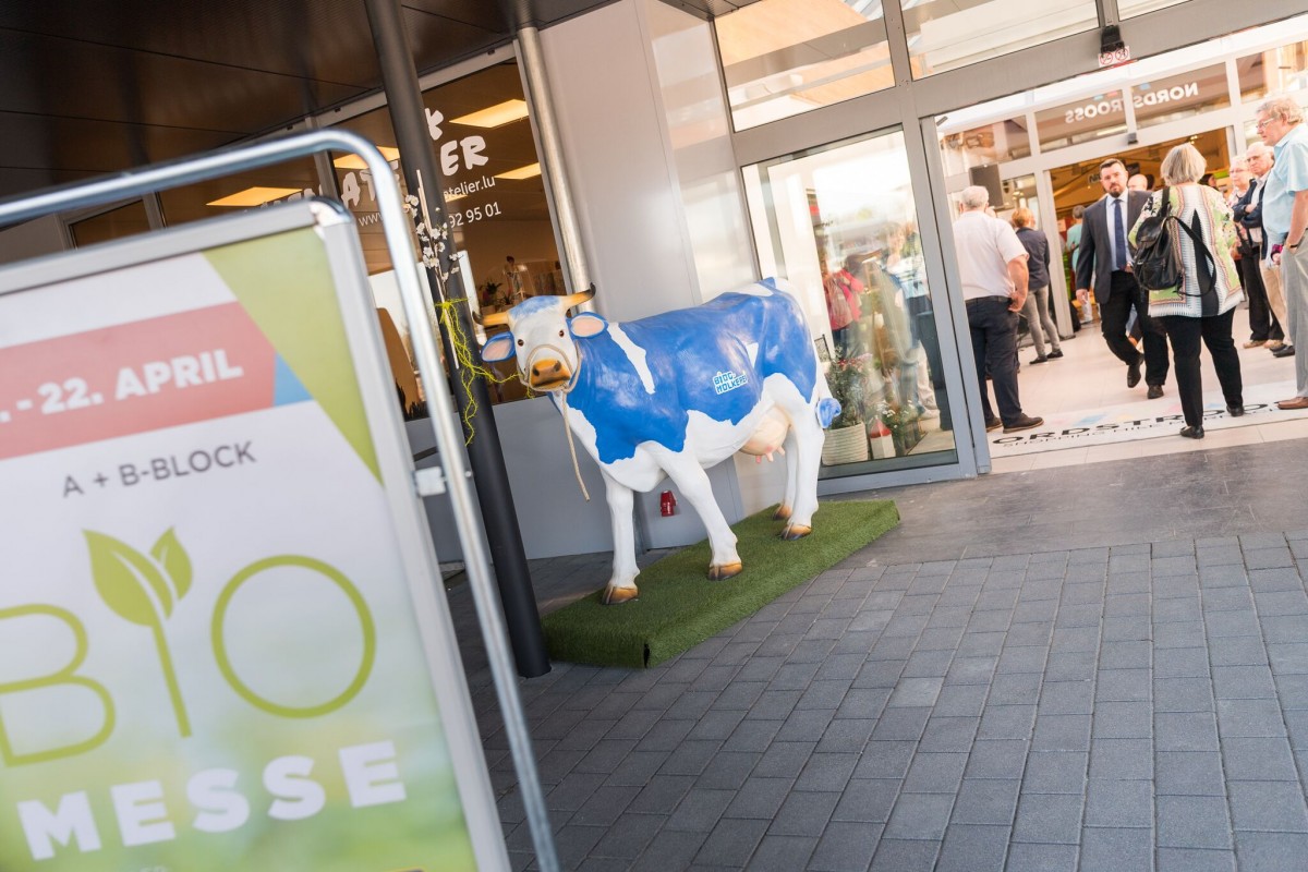 41Vision_OuvertureMarnach_2387_preview