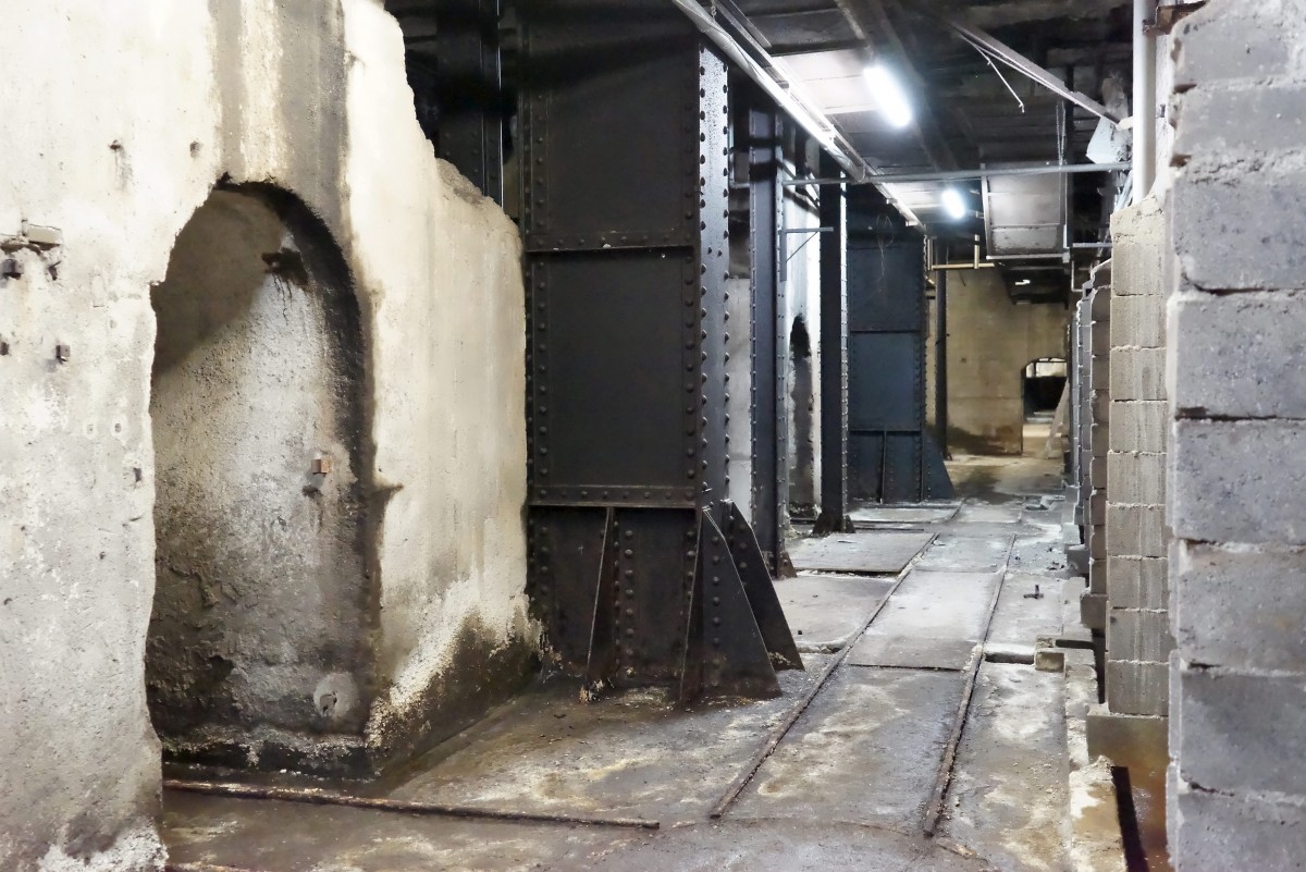 490_0008_14928789_05_04_2018_Editpress_429245