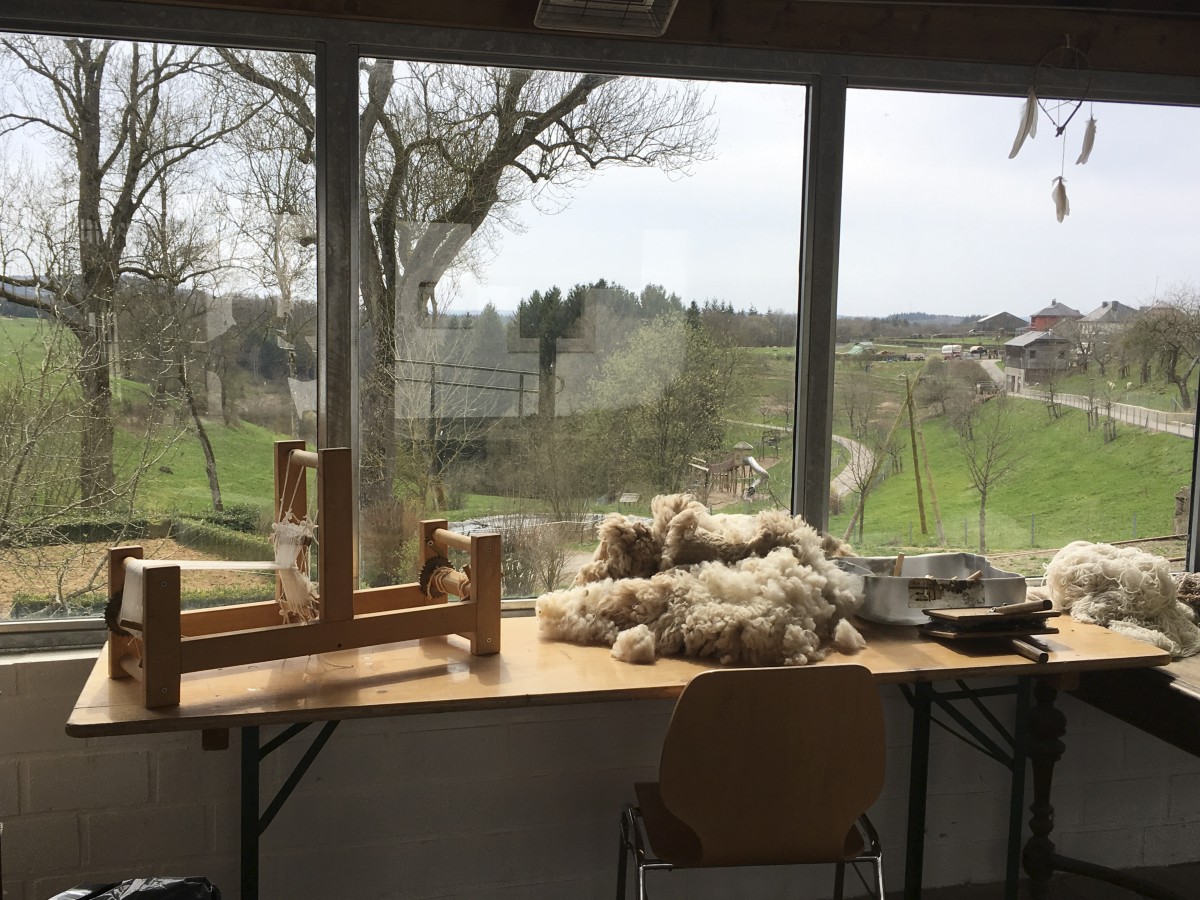 490_0008_14930277_Munshausen_Wolle_3