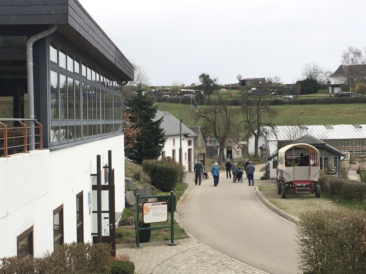 490_0008_14930285_Munshausen_wolle_8