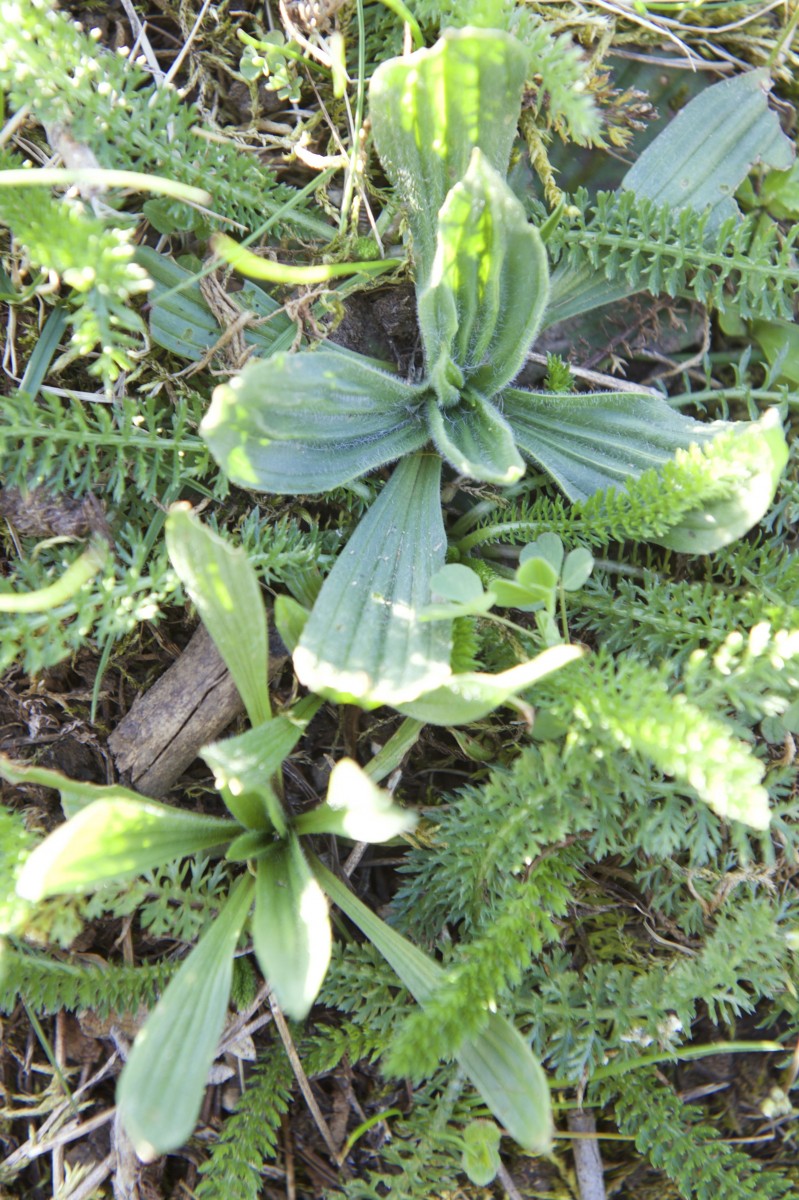 490_0008_14934646_12_04_2018_Editpress_430324