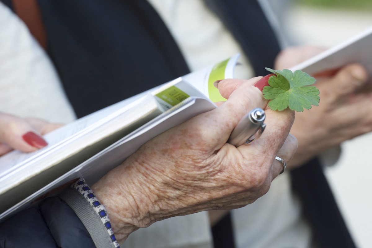 490_0008_14934651_12_04_2018_Editpress_430331