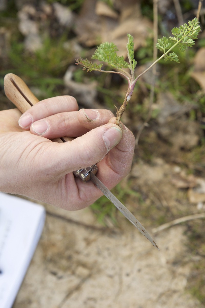 490_0008_14934653_12_04_2018_Editpress_430333