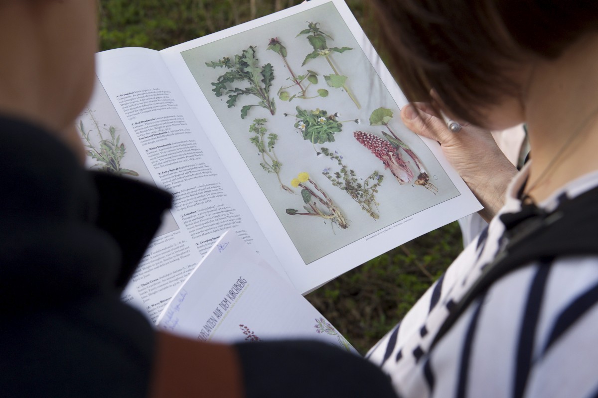 490_0008_14934654_12_04_2018_Editpress_430334