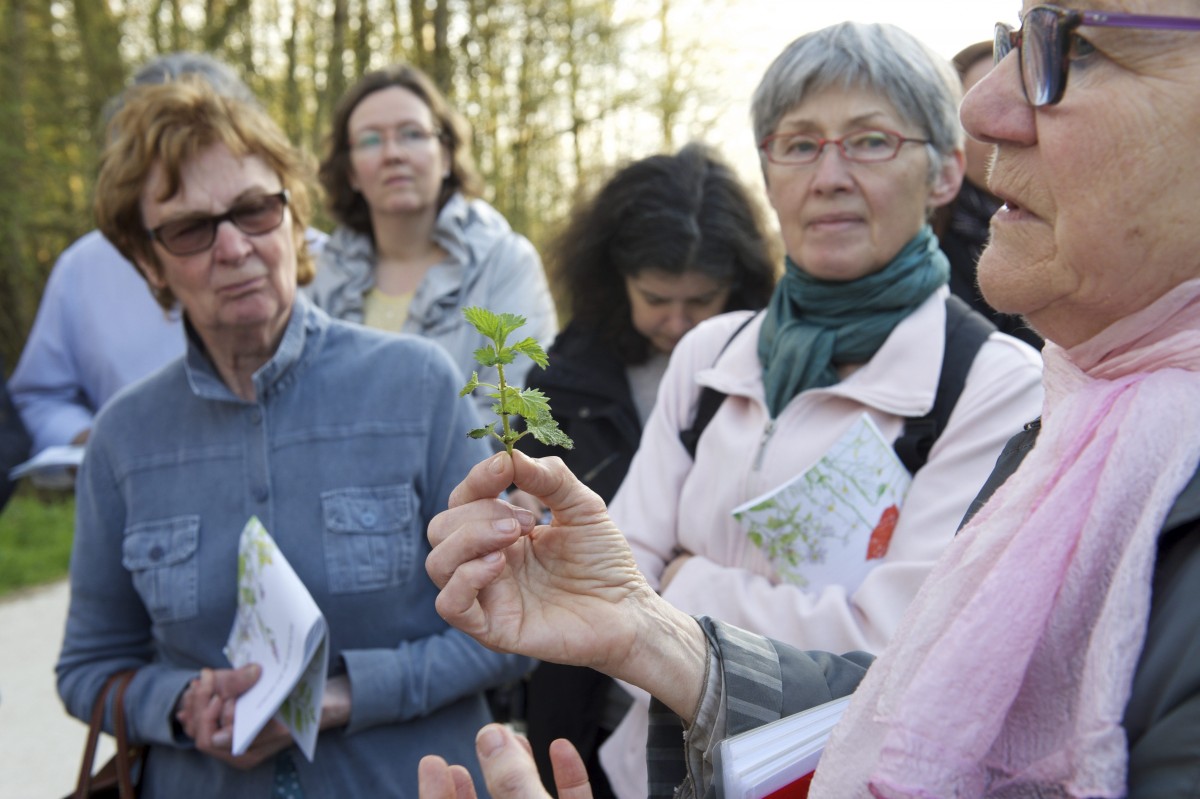 490_0008_14934656_12_04_2018_Editpress_430336