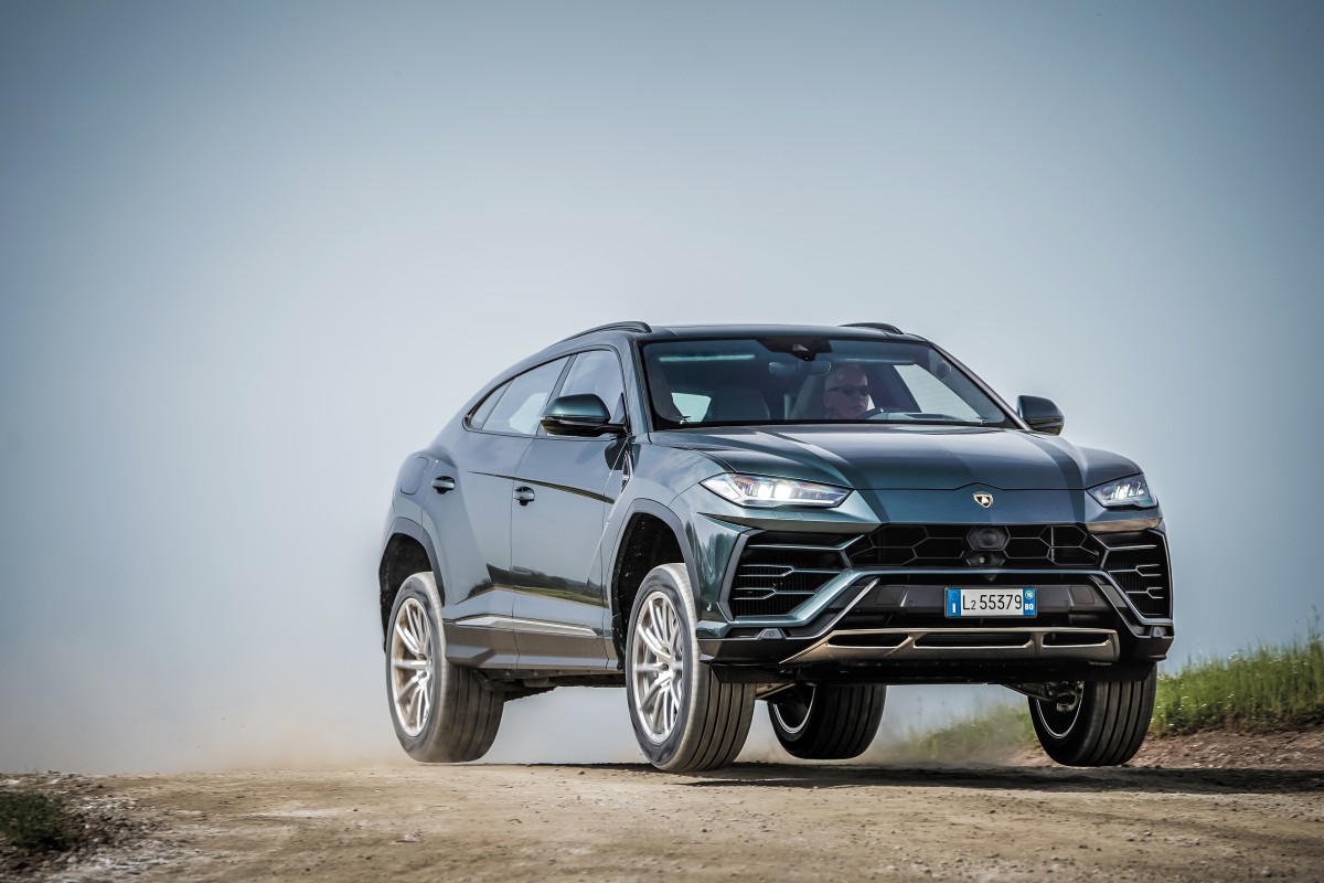 Dyn_Sprung_Grigio Lynx_1