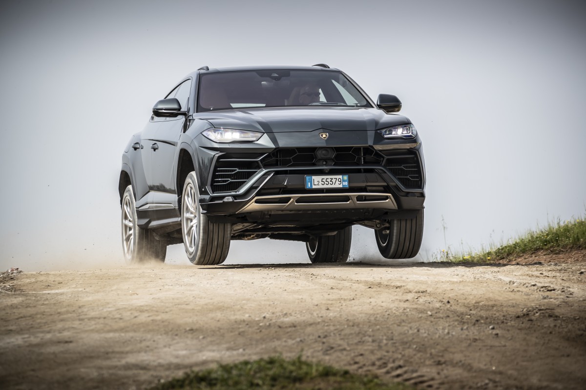 Dyn_Sprung_Grigio Lynx_2