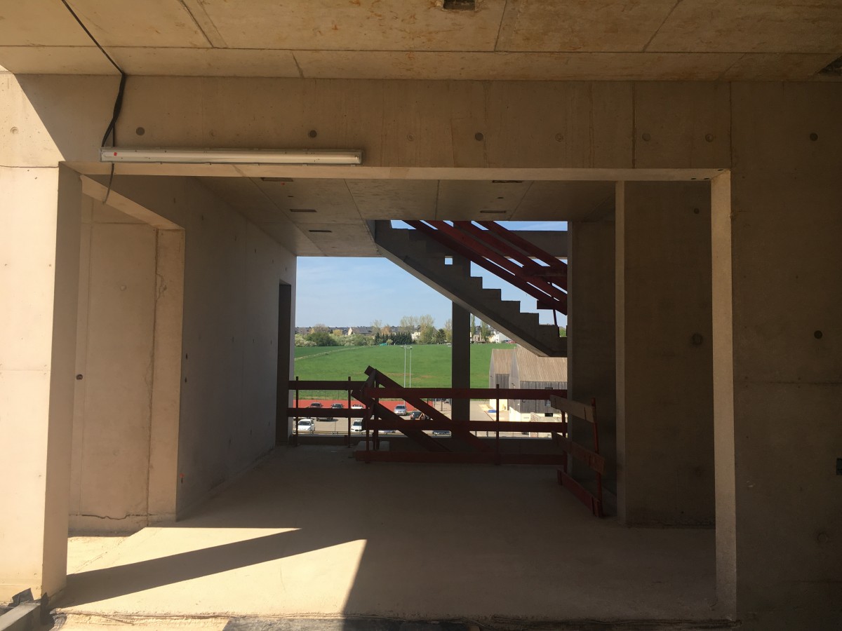 Foto: René Hoffmann