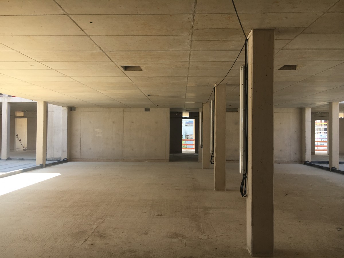 Foto: René Hoffmann