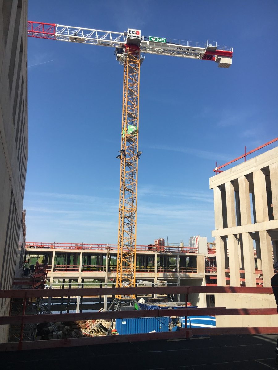 Foto: René Hoffmann