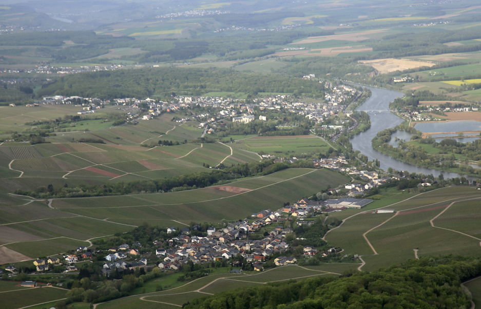 WELLENSTEIN; BECH-KLEINMACHER; REMICH